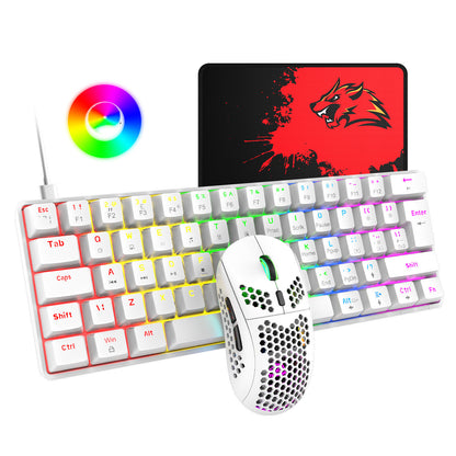 RGB Gaming Keyboard & Mouse Set